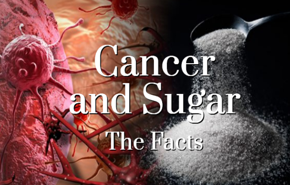 cancer and sugar